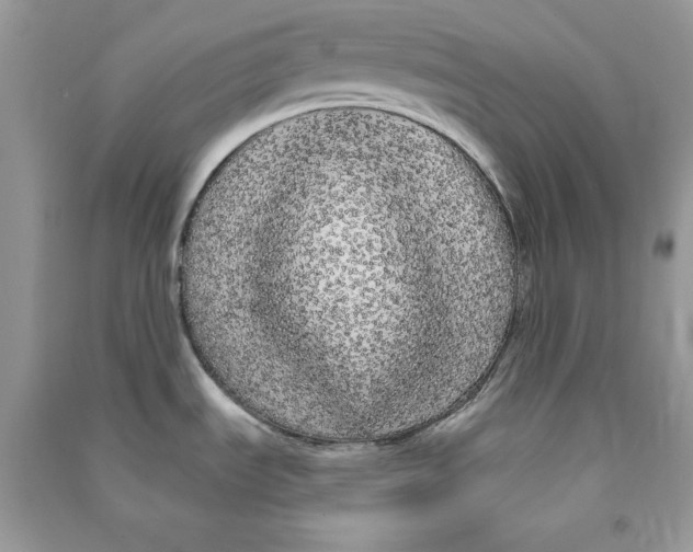 X0000090711535200708101454