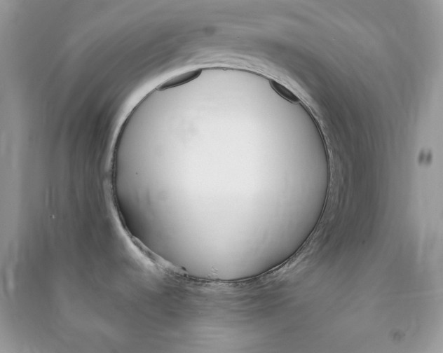 X0000090711536200708101454