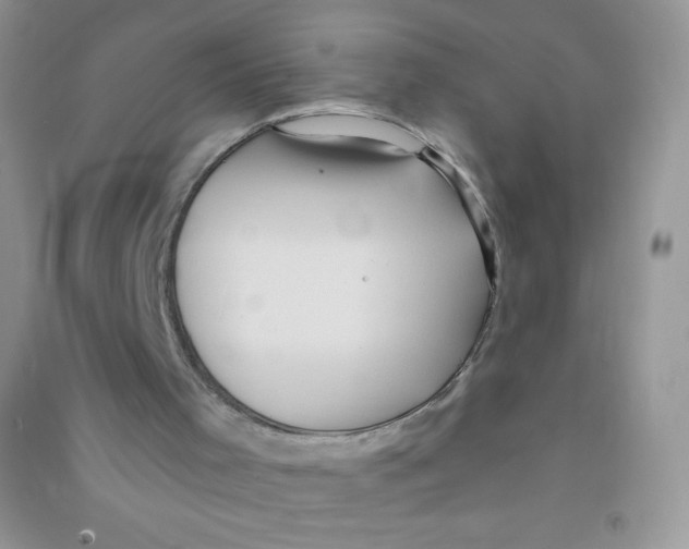 X0000090710001200708171915