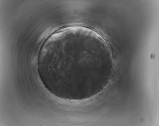 X0000090710002200708171915