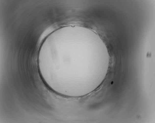 X0000090710004200708171915