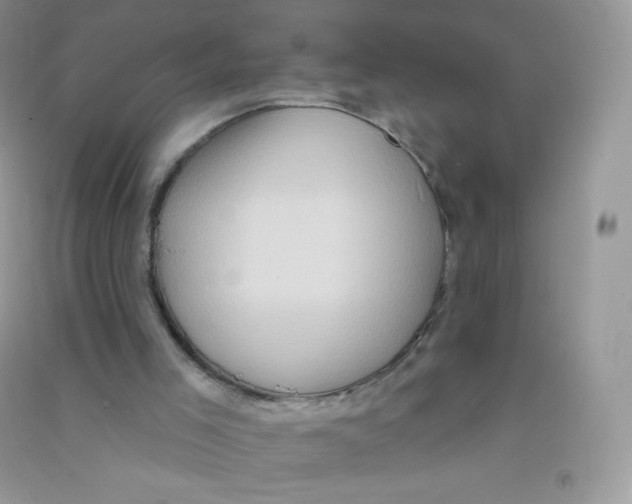 X0000090710005200708171915