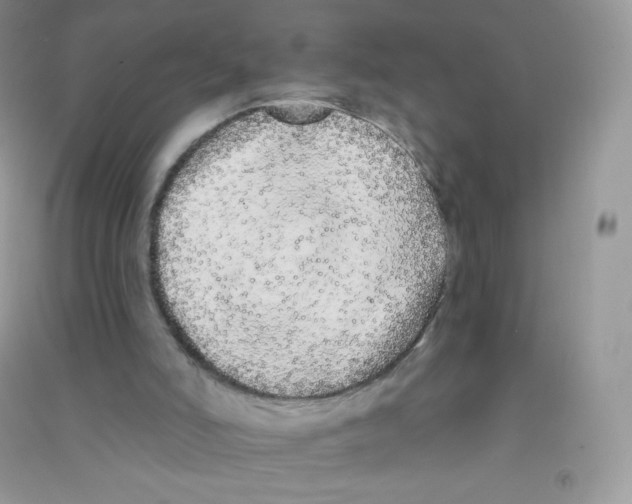 X0000090710006200708171915