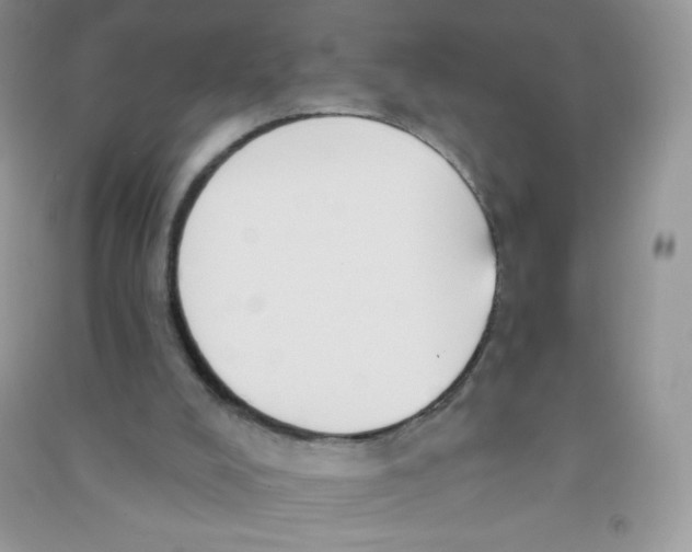 X0000090710008200708171915