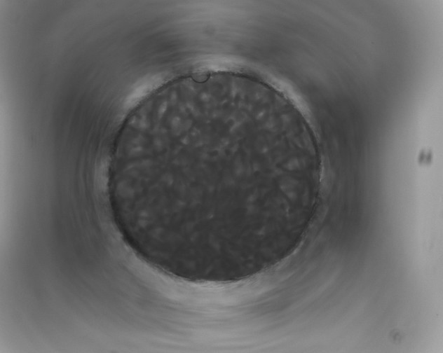 X0000090710010200708171915