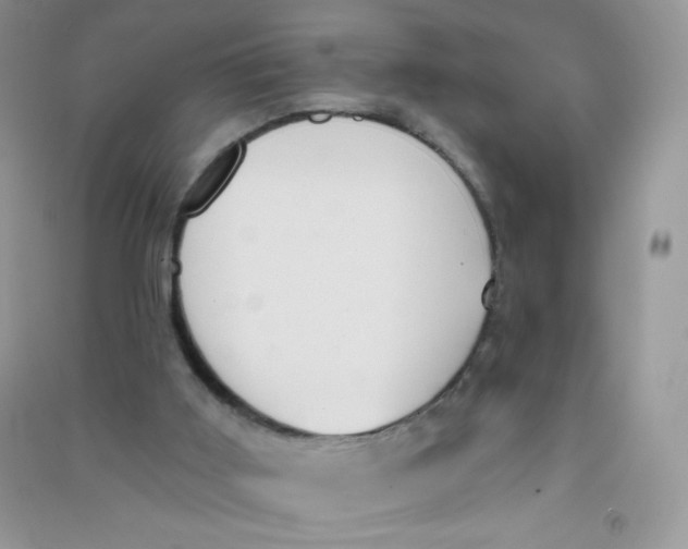 X0000090710011200708171915