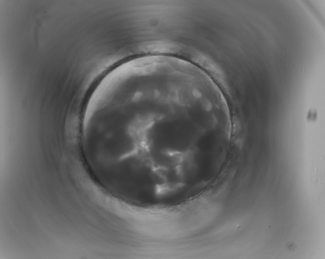 X0000090710012200708171915