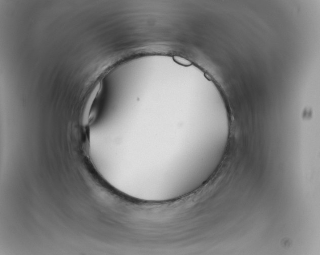 X0000090710013200708171915