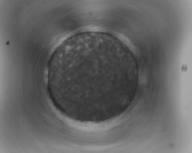 X0000090710014200708171915