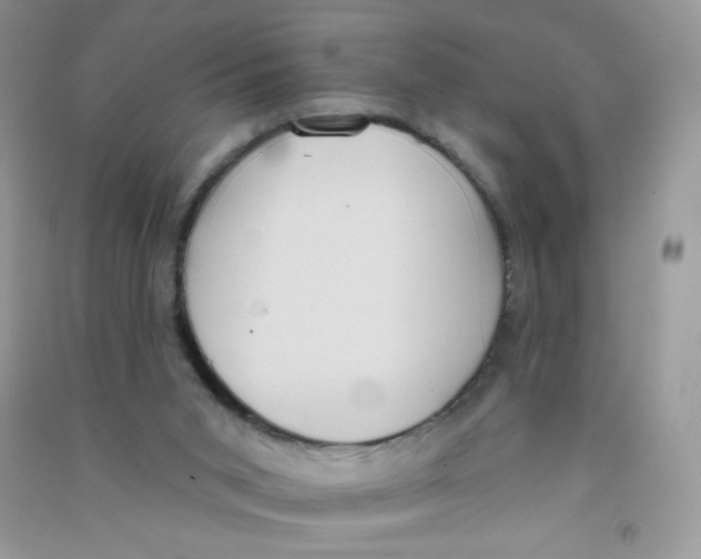 X0000090710015200708171915