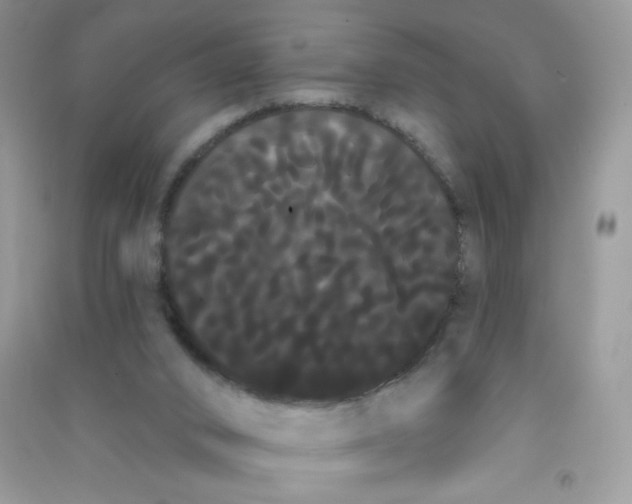 X0000090710016200708171915