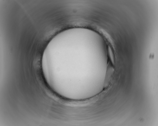 X0000090710017200708171915