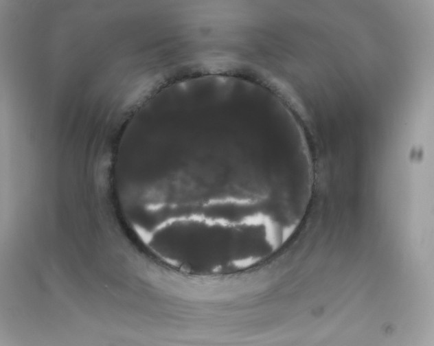 X0000090710018200708171915