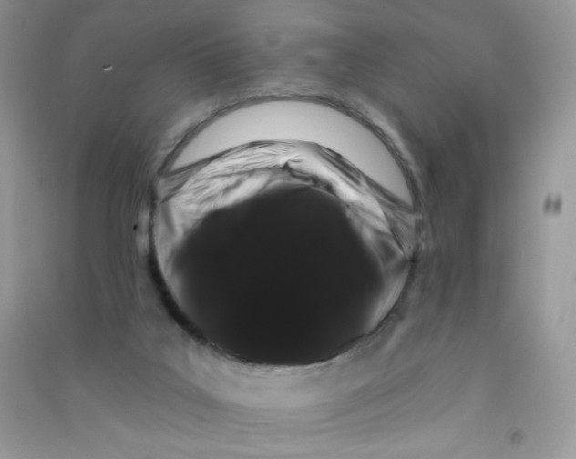 X0000090710019200708171915