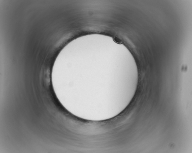 X0000090710020200708171915