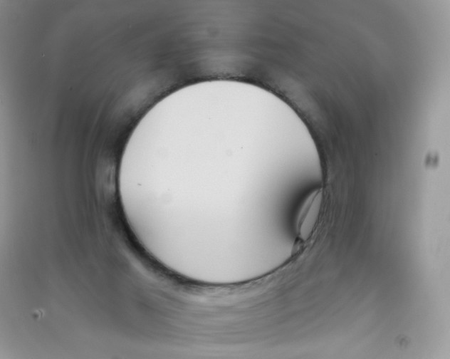 X0000090710021200708171915