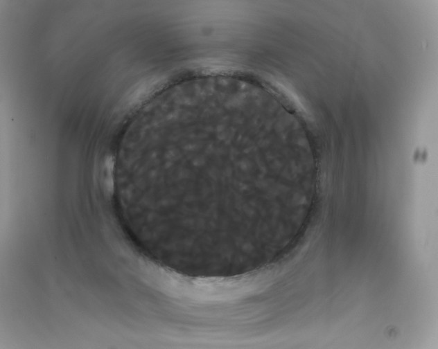 X0000090710022200708171915