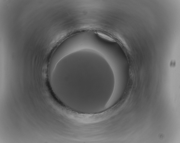 X0000090710023200708171915