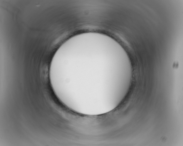 X0000090710024200708171915