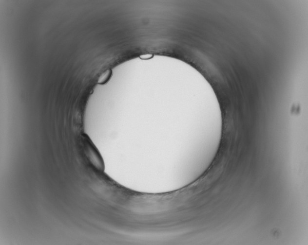 X0000090710025200708171915