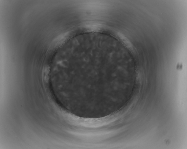 X0000090710026200708171915