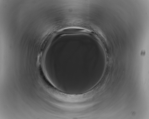 X0000090710027200708171915