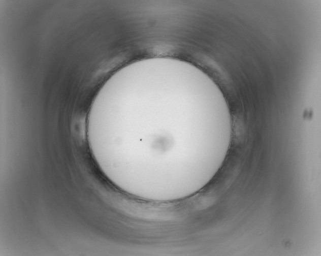 X0000090710028200708171915