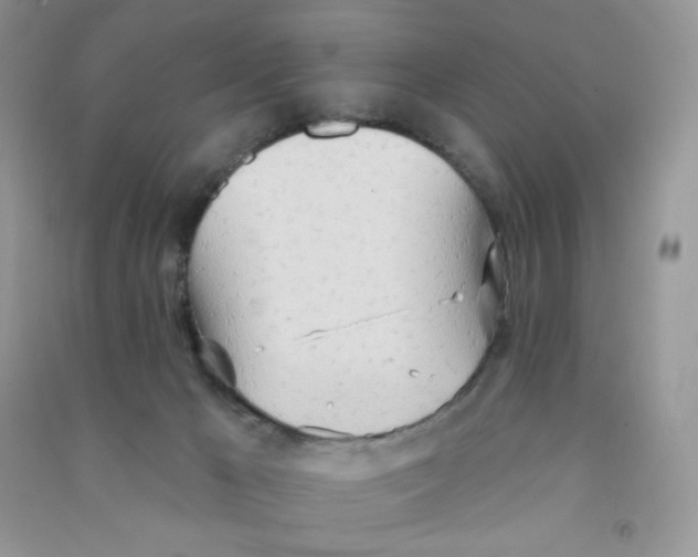 X0000090710029200708171915