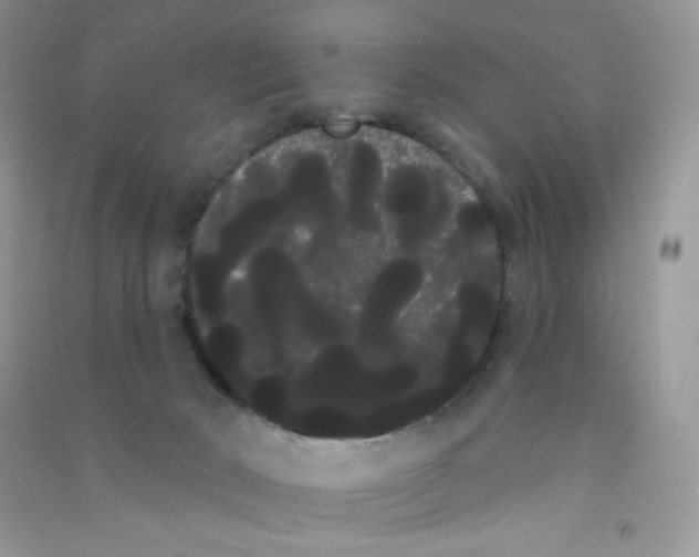 X0000090710030200708171915