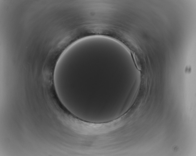 X0000090710031200708171915