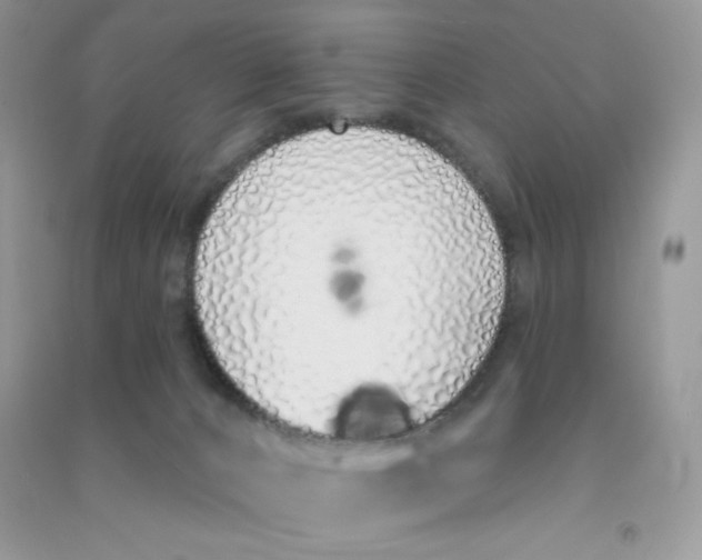 X0000090710032200708171915