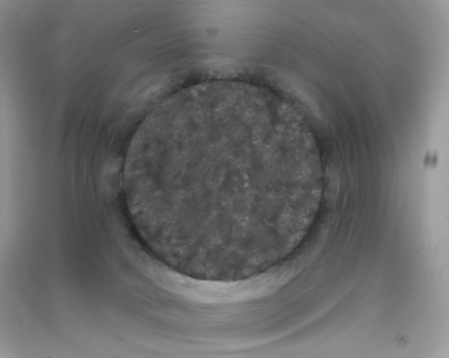 X0000090710034200708171915