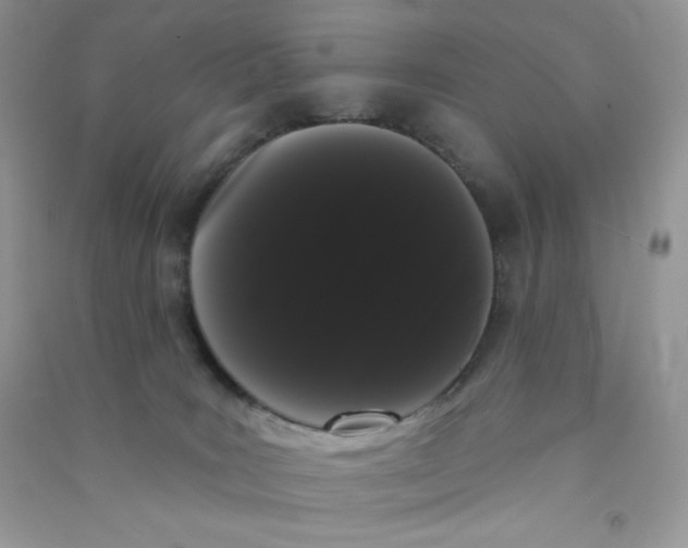 X0000090710035200708171915