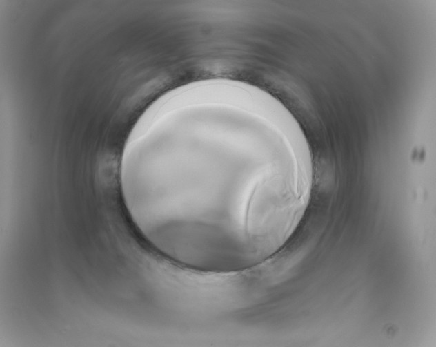 X0000090710036200708171915