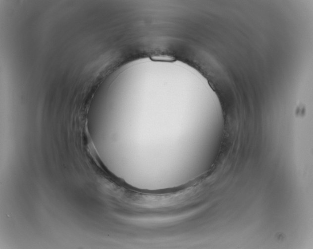 X0000090710037200708171915