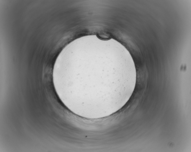 X0000090710038200708171915