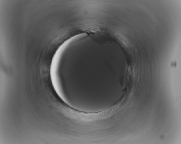 X0000090710039200708171915