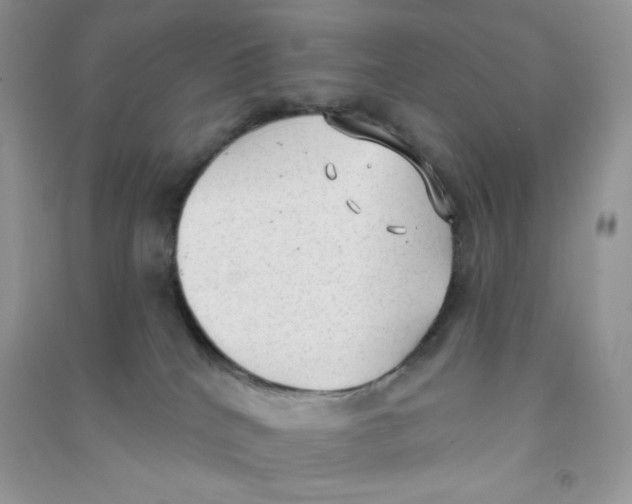 X0000090710040200708171915