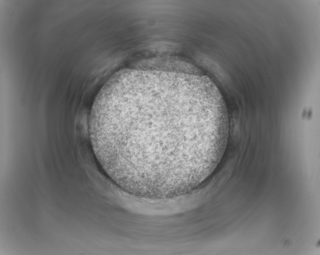 X0000090710042200708171915