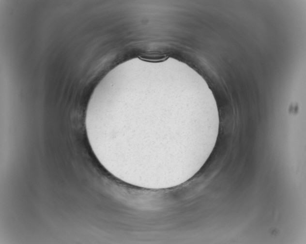 X0000090710044200708171915