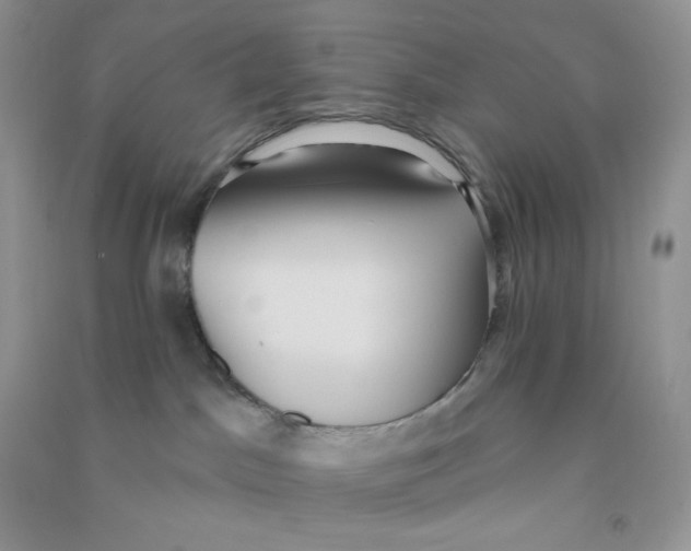 X0000090710045200708171915