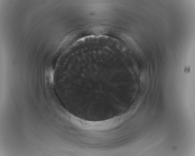 X0000090710046200708171915