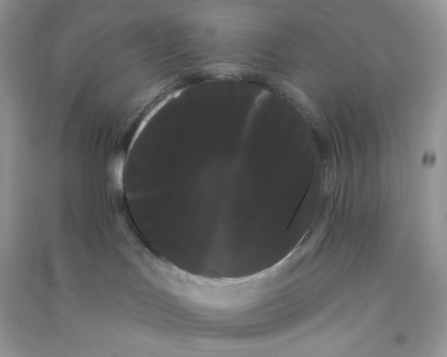 X0000090710047200708171915