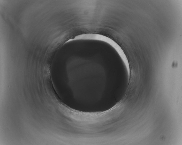 X0000090710048200708171915