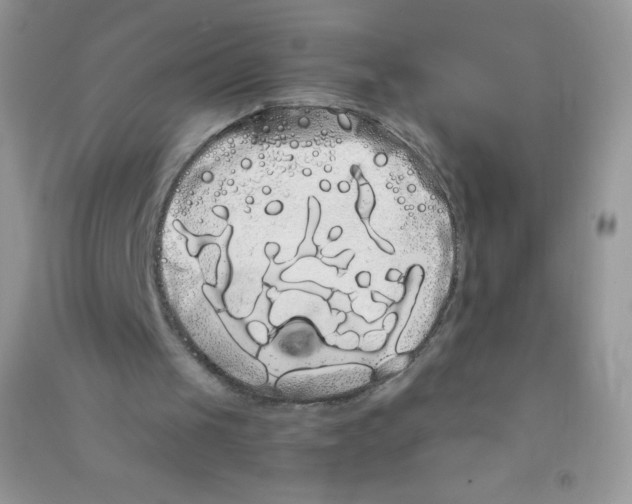 X0000090710049200708171914