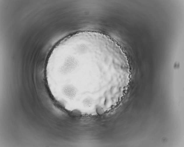 X0000090710050200708171914