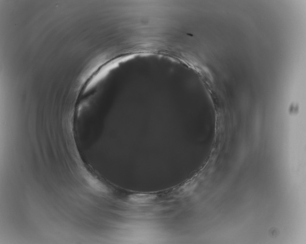 X0000090710051200708171914