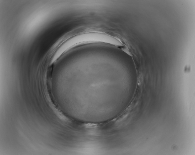 X0000090710052200708171914