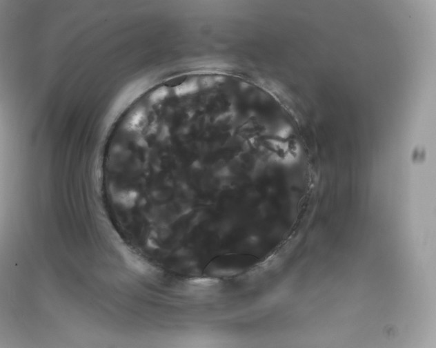 X0000090710053200708171914