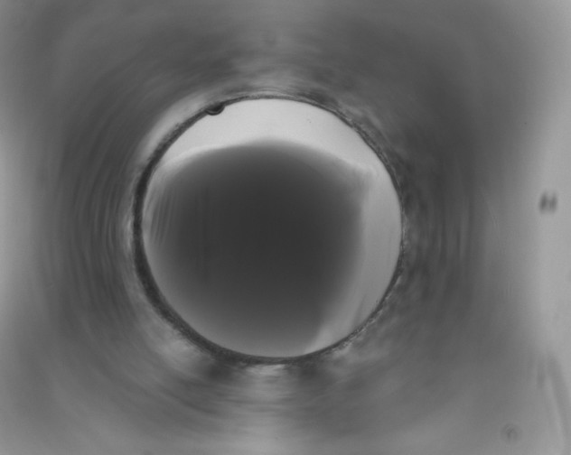 X0000090710054200708171914